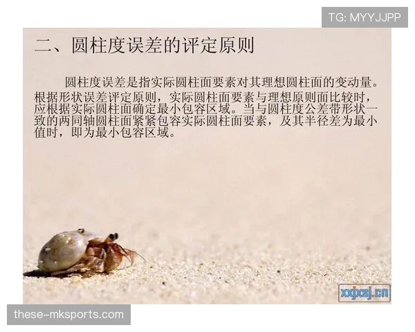 篮球圆柱体原则：何为球员的合法空间与违规侵犯？